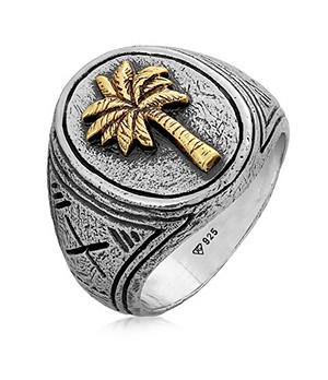 HAZE AND GLORY 925 Sterling Silver Signet Ring