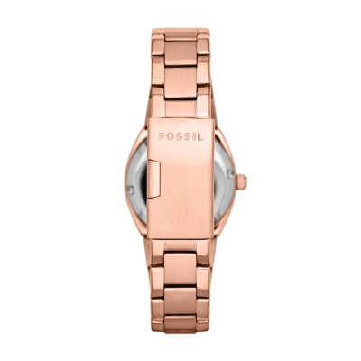 Am4508 fossil 2025