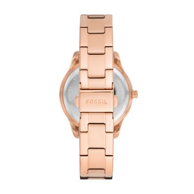 Fossil on sale stella analog