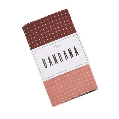 Paisley Colorblock Bandana