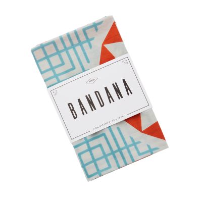 RIDEZ Bandana EarsLoops TBE1078 PAISELY2
