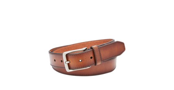 Griffin Belt - Fossil