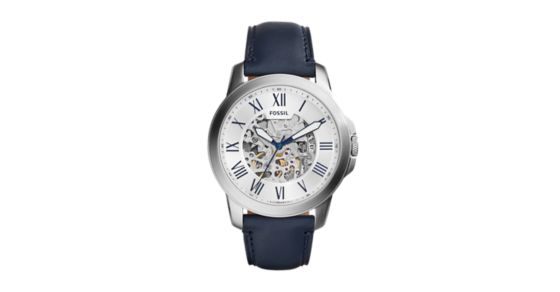 me3111 fossil