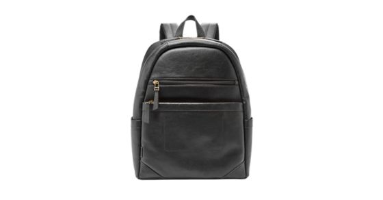 Travis Backpack - Fossil