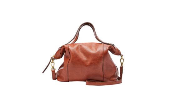 sadie satchel fossil