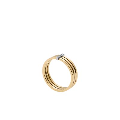 Kariana Two-Tone Stainless Steel Band - Ring Skagen SKJ1672998003