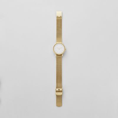 Skagen cheap hald watch