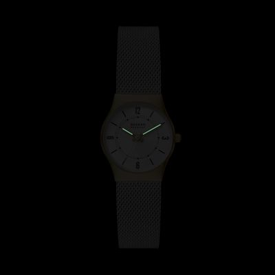 Skagen Grenen Lille Three-Hand Stainless Steel Mesh Watch