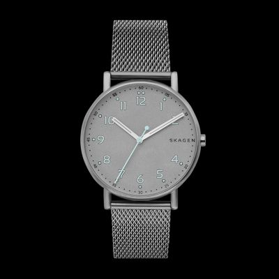 Skagen titanium best sale mesh watch