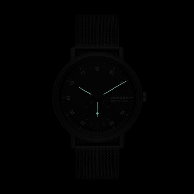 Skagen men's mesh watch hot sale