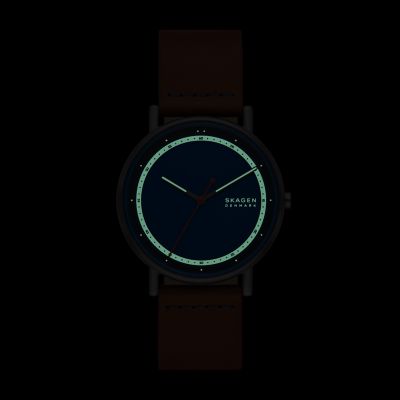 SIGNATUR 三針 ラゲッジレザーウォッチ SKW6899 - Skagen