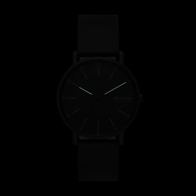 SKAGEN◆クォーツ腕時計/アナログ/ブラック/SKW6902