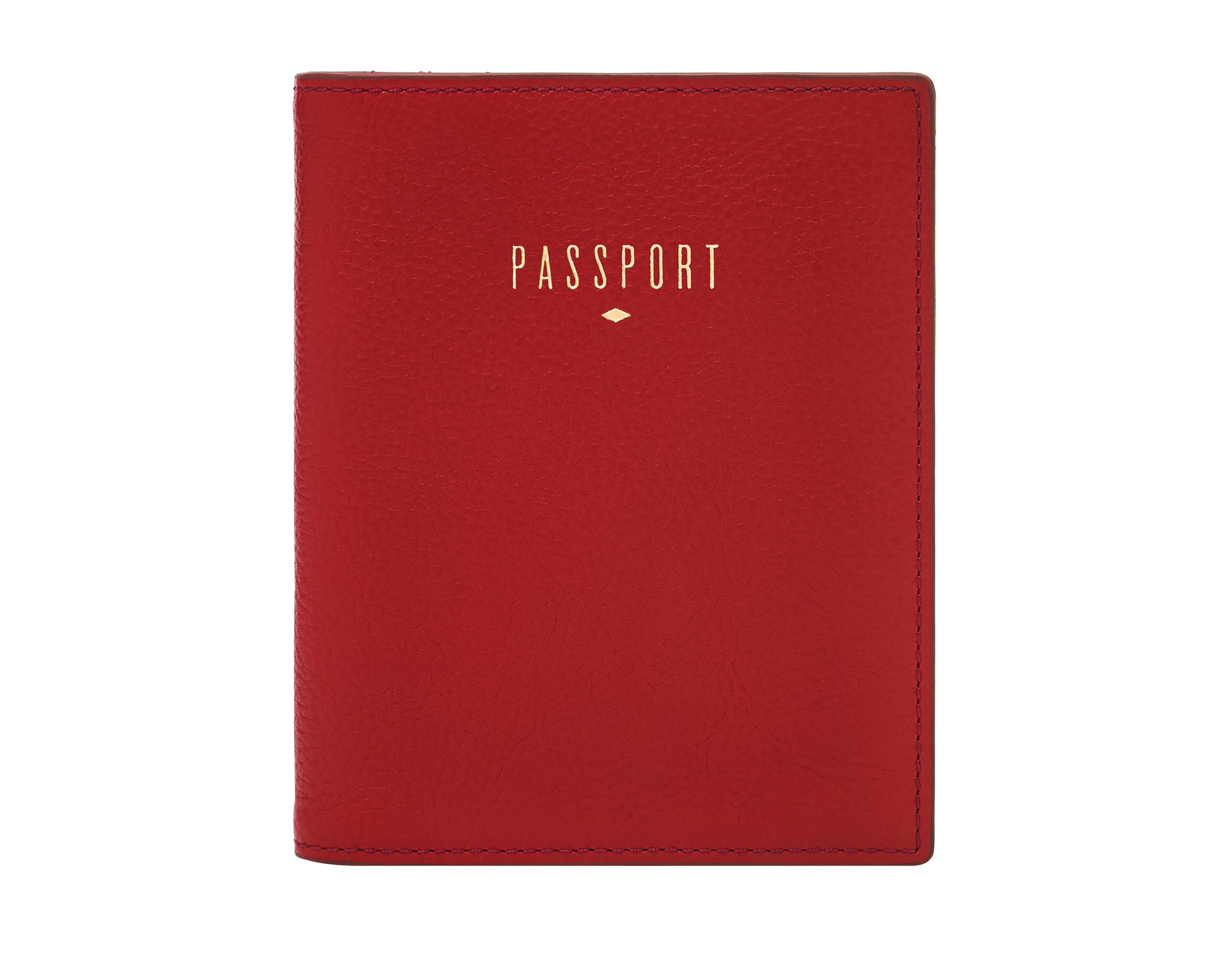 Gift Passport Case